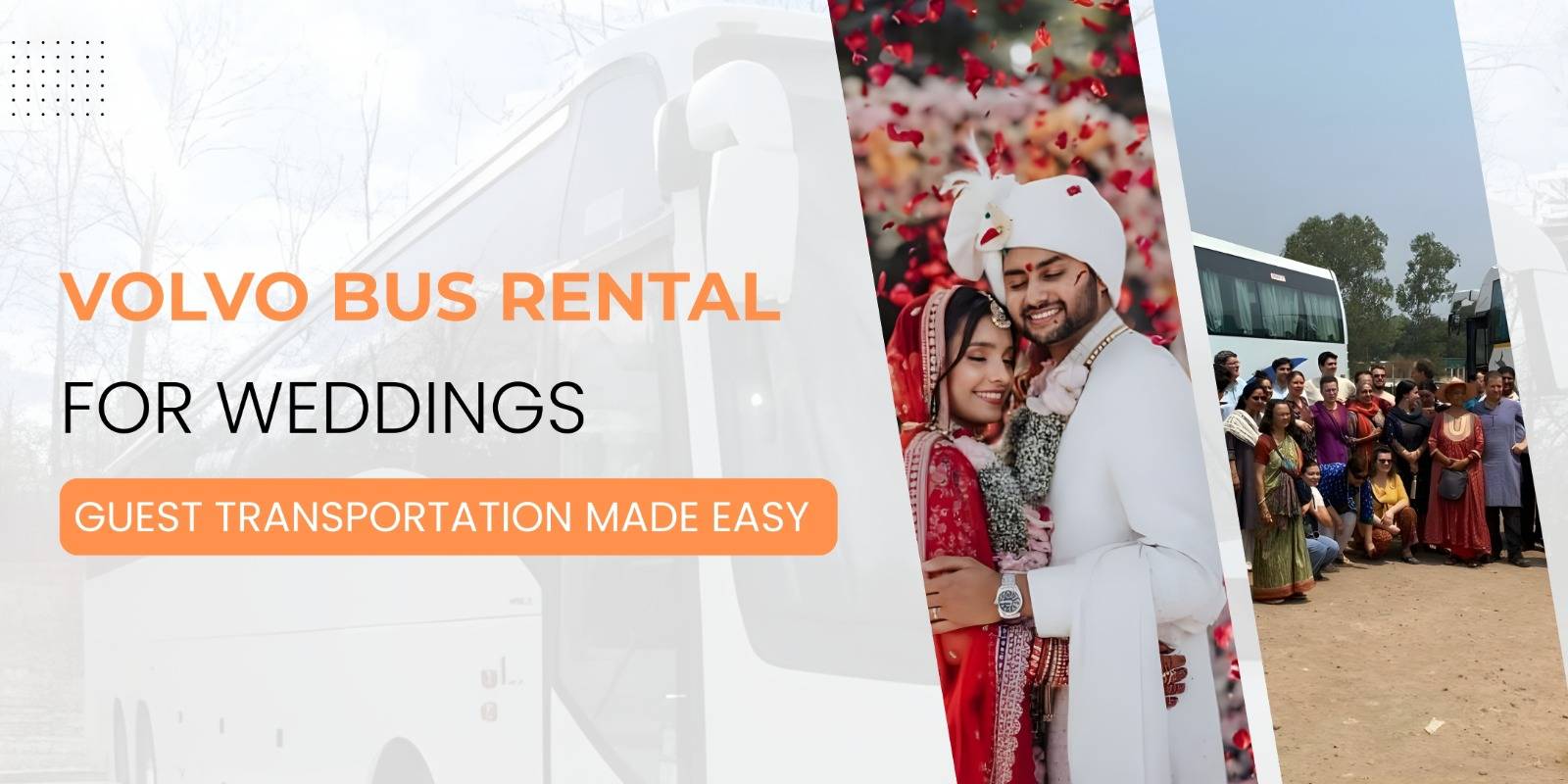 new year tour package